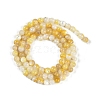 Natural Shell Pearl Beads Strands BSHE-H109-12B-3