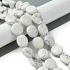 Natural Howlite Beads Strands G-K365-B14-03-2