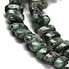 Dyed Natural African Turquoise(Jasper) Beads Strands G-Q167-B23-01-4