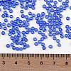 TOHO Round Seed Beads SEED-XTR08-0117-4