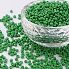 8/0 Glass Seed Beads X2-SEED-A010-3mm-47-1