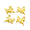 Rack Plating Alloy Pendants FIND-G045-14MG-3