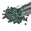 TOHO 6/0 Round Beads X-SEED-TR06-0710-1