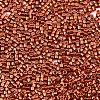 FGB 11/0 Grade A Glass Seed Beads X-SEED-S030-1210-2