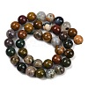 Natural Ocean Agate/Ocean Jasper Beads Strands G-G772-06-B-01-5