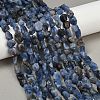 Natural Kyanite Beads Strands G-Q060-E17-1