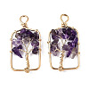 Natural Amethyst Pendants G-T131-93B-06-2