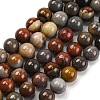 Natural Picture Jasper Beads Strands G-H037-A01-03-1