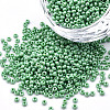 12/0 Czech Opaque Glass Seed Beads SEED-N004-003C-02-1