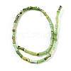 Natural Chrysoprase Beads Strands G-E071-B03-3