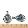 Natural Paua Shell/Abalone Shell Pendants FIND-Z032-01A-3