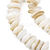 Natural Anomaly Freshwater Shell Beads Strands BSHE-S304-05B-3