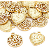 BENECREAT 20Pcs 2 Style Alloy Pendants FIND-BC0002-09-4