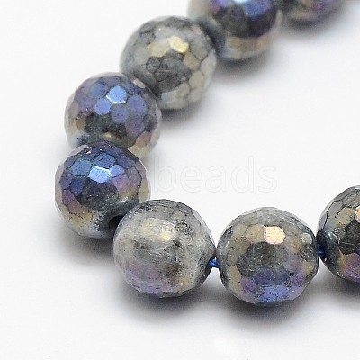 Electroplate Natural Labradorite Beads Strands X-G-L150-8mm-01-1