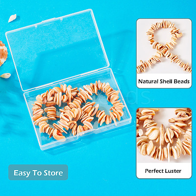 1 Strand Natural Seashell Shell Beads Strands SSHEL-TA0001-13-1
