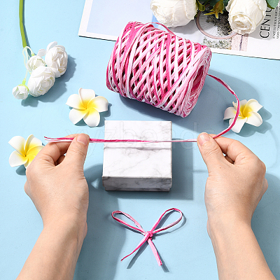 Segment Dyed Raffia Paper Cords for DIY Craft OCOR-WH20020-27A-1