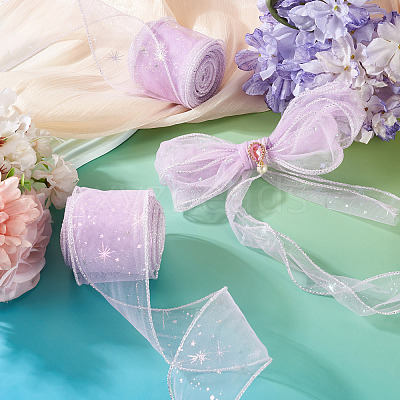 Polyester Deco Mesh Ribbons OCOR-TAC0024-004B-1