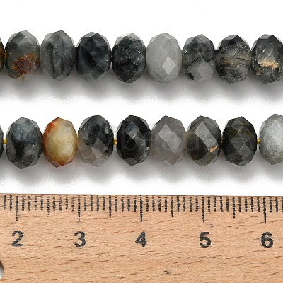 Natural Eagle Eye Stone Beads Strands G-Z111-A11-02-1