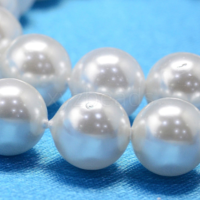 Round Shell Pearl Bead Strands X-BSHE-L011-10mm-A013-1