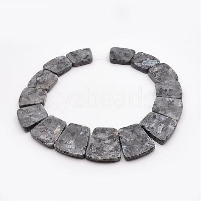Natural Larvikite Graduated Bead Strands G-P296-F01-1