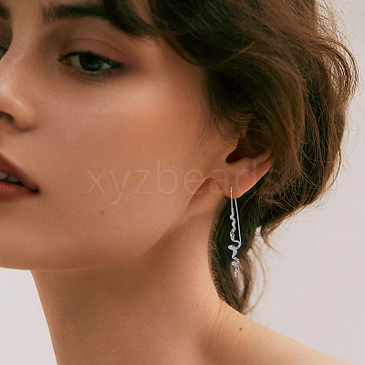 1 Pair Brass Dangle Earrings EJEW-HS0001-29P-1