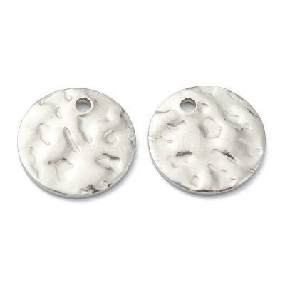 Tarnish Resistant 304 Stainless Steel Charms STAS-H157-03C-P-1