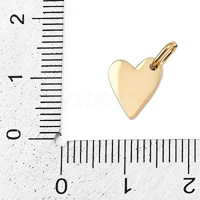 304 Stainless Steel Charms STAS-L291-01G-S-1