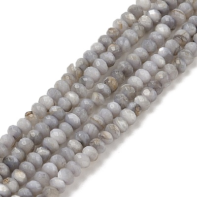 Natural Freshwater Shell Dyed Beads Strands SHEL-R100-13A-04-1