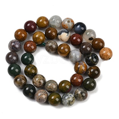 Natural Ocean Agate/Ocean Jasper Beads Strands G-G772-06-B-01-1