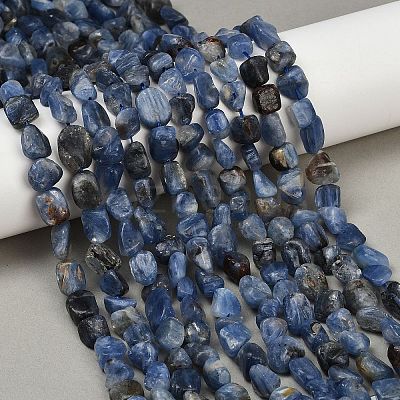 Natural Kyanite Beads Strands G-Q060-E17-1