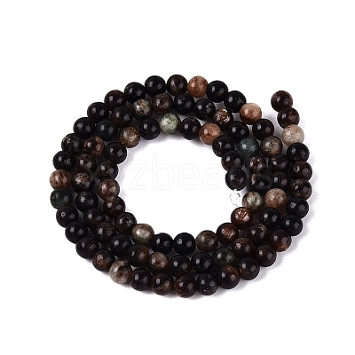 Natural Biotite Beads Strands G-Q616-01A-1