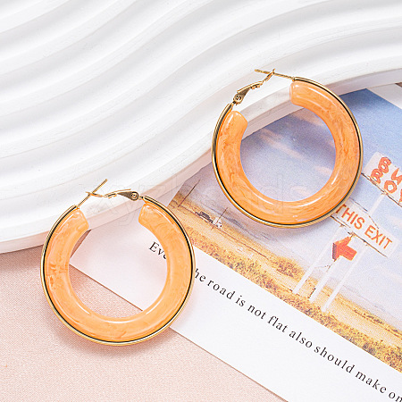 304 Stainless Steel Acrylic Hoop Earrings FS-WG57303-07-1