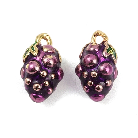 Brass Enamel Charms KK-L231-21G-06-1