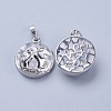 Natural Quartz Crystal Pendants G-K234-A18-2