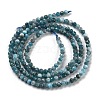 Natural Apatite Beads Strands G-G140-A15-07-3