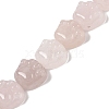 Natural Rose Quartz Beads Strands G-M108-A04-01-1