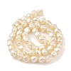 Electroplated Shell Pearl Beads Strands BSHE-C006-02B-2