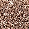 MIYUKI Delica Beads X-SEED-J020-DB2504-2