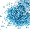 TOHO 8/0 Round Beads SEED-XTR08-0023-1