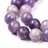Natural Lepidolite/Purple Mica Stone Beads Strands G-K415-10mm-6