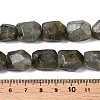 Natural Labradorite Beads Strands G-N342-146-5