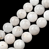 Natural Rainbow Moonstone Beads Strands G-N328-024-8mm-1