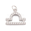 316 Stainless Steel Micro Pave Cubic Zirconia Pendants STAS-K284-01K-P-1