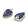 Dyed Natural Lapis Lazuli Pendants G-G012-13G-08-2