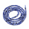 Natural Sodalite Beads Strands G-S361-2mm-004-2