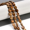 Natural Picture Jasper Beads Strands G-M420-D14-01-2