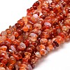 Dyed Natural Carnelian Chip Beads Strands G-E271-105-1