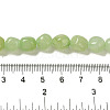 Natural White Jade Dyed Beads Strands G-B078-D22-01-5