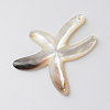 Sea Shell Pendants SSHEL-Q297-56-2