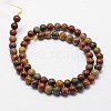 Natural Polychrome Jasper/Picasso Stone/Picasso Jasper Bead Strands G-G735-14-8mm-2